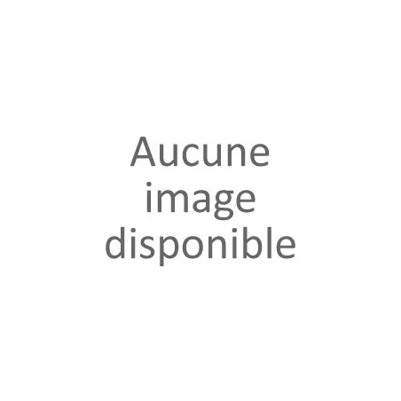 Pantalon chino indigo femme